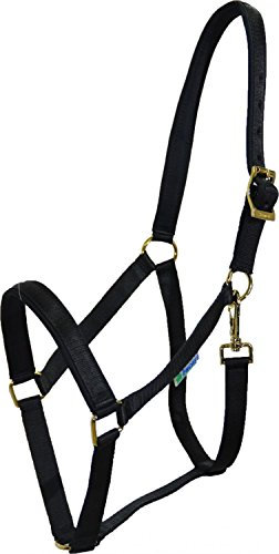 Halfter Dublin Größe: Wam Farbe: schwarz