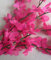 Best Artificial 80cm Trailing Flower Garland Hanging Vine String Plant (Fuchsia Pink)