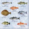 Ambiente 20 St. Servietten Papierservietten 3-lagig Seafood Fishes Fische Blau Weiss 33 x 33 cm