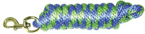 Hamilton 5/8 x 10' Poly Horse Lead Rope with Bolt Snap, Berry Blue/Lime