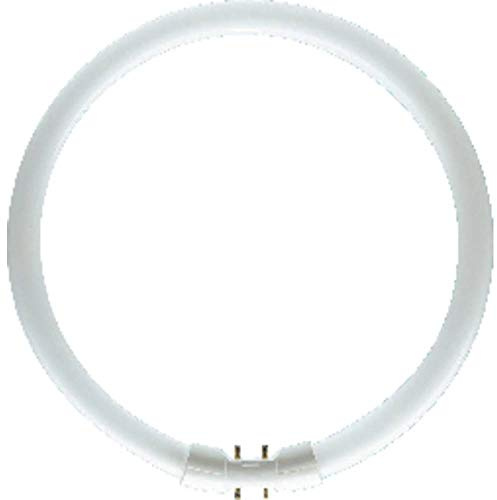 Leuchtstofflampe FC 40 Watt 840 neutralweiß 2GX13 Circular Ringlampe- Osram 40W