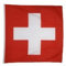 Digni® Geant Drapeau Suisse - 150 x 150 cm