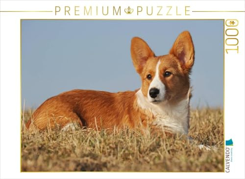 CALVENDO Puzzle EIN Motiv aus dem Kalender Welsh Corgi - Kobold auf 4 Pfoten | 1000 Teile Lege-Größe 64 x 48 cm Foto-Puzzle für glückliche Stunden