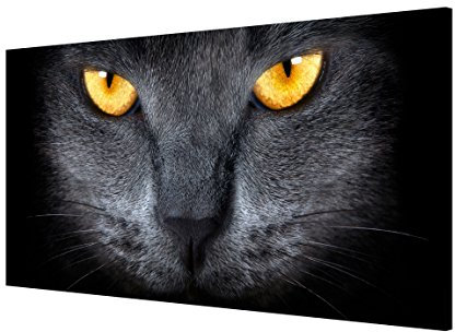 Magnettafel Cats Gaze Memoboard Design Quer Metall Magnet Pinnwand Motiv Wand Stahl Küche Büro, Größe HxB: 37cm x 78cm