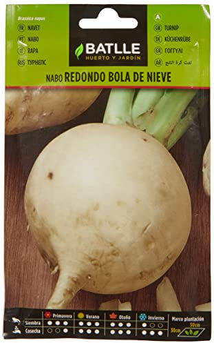 Semillas Batlle Nabo BOLA DE NIEVE