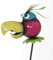 linoows G2290: Gartenstecker lustiger Schwingkopf Papagei, Wackelkopf Vogel, Gartendeko