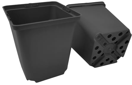GREEN24 100 Stck. Pflanztöpfe 11x11x12cm Vierecktopf Profi Anzuchttopf Pflanztopf Blumentopf Vierkant-Töpfe (100, 11x11x12)