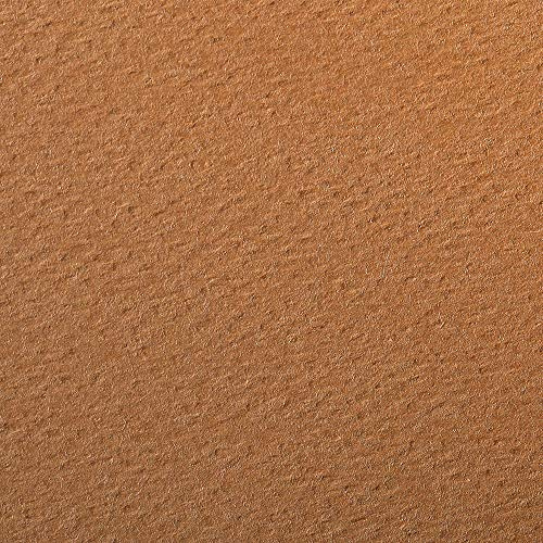 Clairefontaine 93889C Packung (mit 25 Bögen Zeichenpapier Etival Color, DIN A4, 21 x 29,7 cm, 160g, gekörnt, ideal für Trockentechnik und Einrahmen) rost