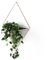 Umbra Trigg Wandvase & Geometrische Deko - Übertopf Für Zimmerpflanzen, Sukkulenten, Luftpflanzen, Kakteen, Kunstpflanzen und Mehr, Beton/Kupfer, Gross, 1 Stück