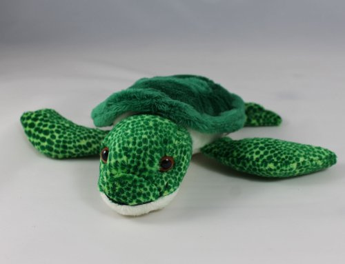 kleine Wasserschildkröte Schildkröte Turtle Hatchling * 18 cm * Plüschtier Plüschschildkröte