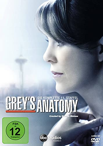 Grey's Anatomy - Staffel 11 [6 DVDs]