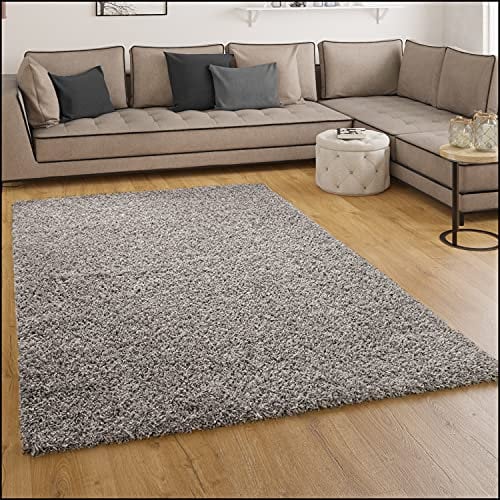 Paco Home Shaggy Hochflor Langflor Teppich Sky Einfarbig in Grau, Grösse:60x100 cm