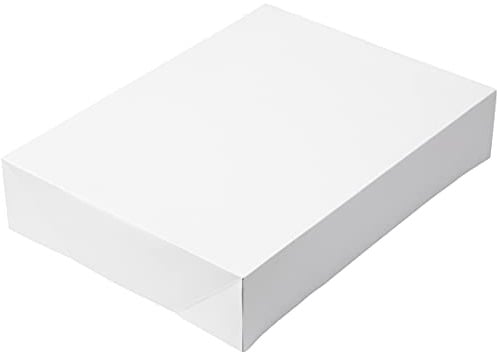 Wilton 2-Pack Corrugated Cake Box, 19 by 14 by 4-Inch