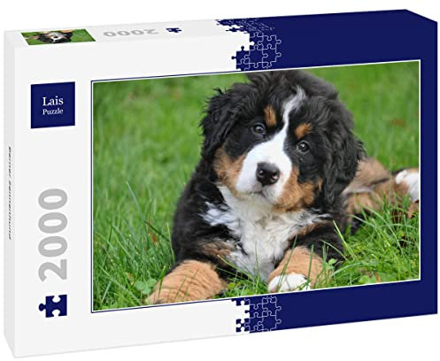 Lais Puzzle Berner Sennenhund 2000 Teile