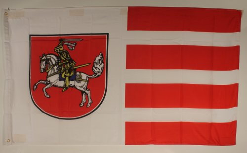 Buddel-Bini Flagge Fahne ca. 90x150 cm : Dithmarschen Ditmarschen Dithmarschenflagge
