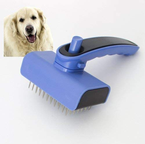 Selbstreinigende Hundebürste für Golden Retriever