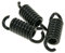 Molle frizione MALOSSI MHR Delta Clutch Nero 2,2 mm Racing