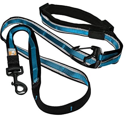 Kurgo Quantum 6-in-1 Hundeleine, Vielseitige Leine aus robustem Nylon, Mit gepolstertem Griff und Reflektorstreifen, Blau, Large