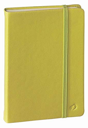 Quo Vadis 23725101 NQ Notizbuch unliniert, grün