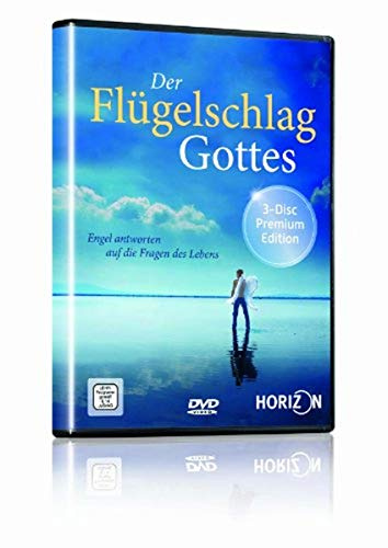 Der Flügelschlag Gottes - Engel antworten auf die Fragen des Lebens