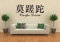 Wandtattoo wandaufkleber Aufkleber Wandsticker wall sticker Wohnzimmer Schlafzimmer Kinderzimmer 30 Farben zur Wahl Wandtext Wandwort Wandspruch spruch Zitat CARPE DIEM Chinesische Zeichen wzt22(weitere Farben per Nachricht, Größe1:ca.60x24cm )