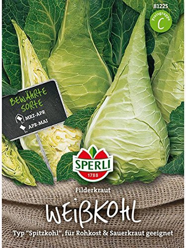 Sperli 81225 Gemüsesamen Weißkohl Filderkraut, grün