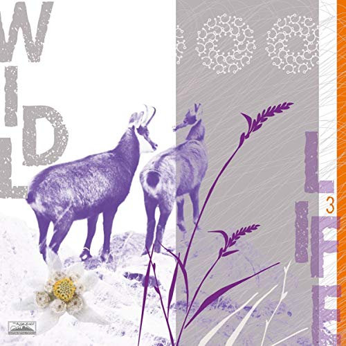 Eurographics DM-BET1104 Deco Metal Metallbild Wild Life 30 x 30 cm