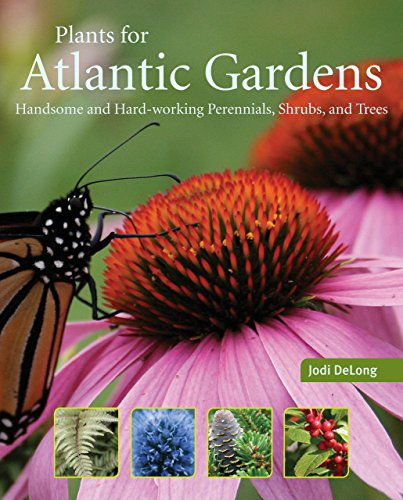 Plants for Atlantic Gardens: Handsome and Hard-Working Shrubs, Trees, and Perennials by Jodi DeLong (16-Mar-2011) Paperback