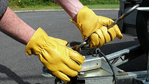 Portwest Classic Driver Handschuh, Größe: XL, Farbe: Tan, A270TARXL