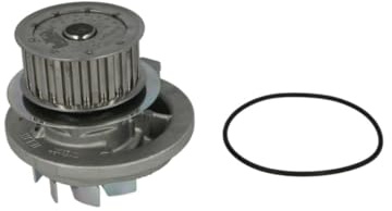 Hepu P318 Wasserpumpe