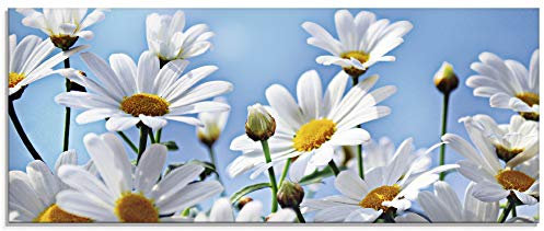 ARTland Wanddeko Glasbilder Wandbild Glas Bild einteilig 125x50 cm Querformat Natur Blumen Blüten Gänseblümchen Margeriten Landhaus T2YI
