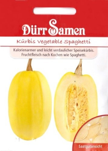 Spaghettikürbis Samen, Spaghetti Kürbis, Cucurbita maxima, ca. 6 Samen