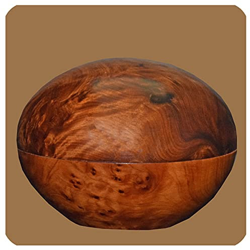 Thuja Holz Schatulle Dose Schmuckdose Holzschachtel Holzdose Holzschatulle Wurzelholz Kiste rund Größe Mittel