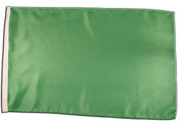 Fahne Flagge Einfarbig Grün 30 x45 cm