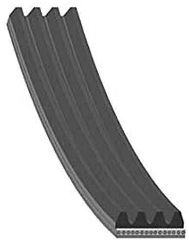 febi bilstein 28765 Auxiliary Belt, pack of one, schwarz