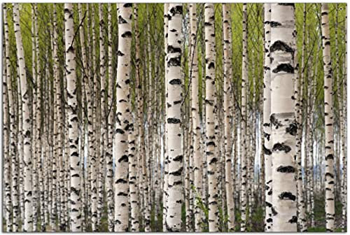 Wallario Outdoor-Poster für Garten oder Balkon Birkenwald - Baumstämme in schwarz weiß, Motivbanner Größe: ca. 60 x 90 cm, Outdoor-Bild