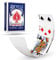 Fahrrad leer wieder Normal Gesicht Magic Spielkarten Bicycle Blank Back Normal Face Magic Playing Cards