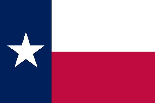 DIPLOMAT Flagge Texas | Querformat Fahne | 0.06m² | 20x30cm für Flags Autofahnen