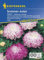 Sommer - Aster Opus von Kiepenkerl