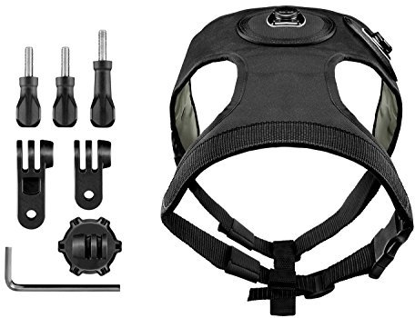 Garmin Virb X Harnais court pour chien Noir