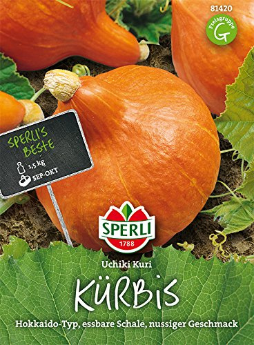 Kürbis, Uchiki Kuri (Hokkaidokürbis)