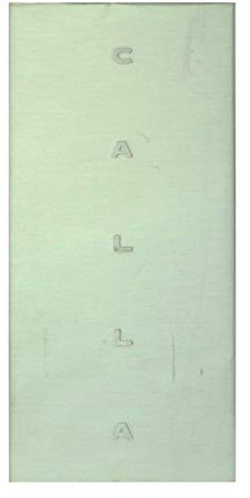 Calla by Isabell EDT 50 ml
