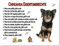 Merchandise for Fans Blechschild/Warnschild/Türschild - Aluminium - 15x20cm Eigentumsrechte Motiv: Chihuahua Kurzhaar schwarz sitzend (03)