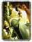 Northwest The Company Lucas 'Star Wars klein Rebel Force Tapisserie Werfen, 48 by-60-inch
