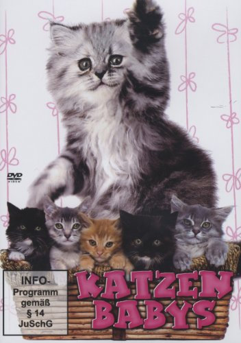 M.I.B. - Medienvertrieb in Buchholz / Best Entertainment