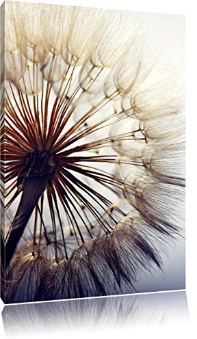 Pixxprint Schöne Pusteblume, Größe: 80x60cm, Leinwandbild, fertig gespannt, Wandbild, Dekoration, Kunstdruck, kein Poster