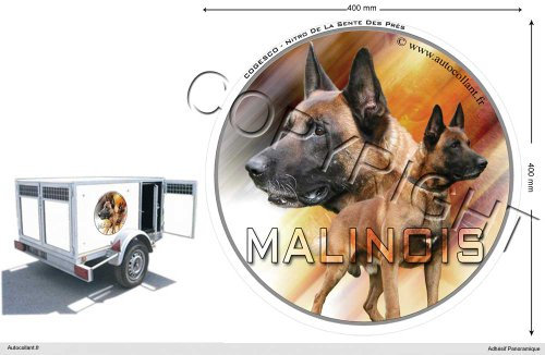 Pets-easy Circular Aufkleber Hund 40 cm Belgische Schäferhunde