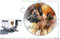 Pets-easy Circular Aufkleber Hund 40 cm Belgische Schäferhunde