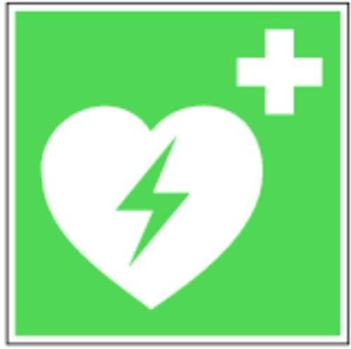 LEMAX® Rettungszeichen, Automatisierter Externer Defibrillator E010 DIN EN ISO 7010 Kunststoff langnachleuchtend grün/weiß/Randfarbe: weiß 200x200mm