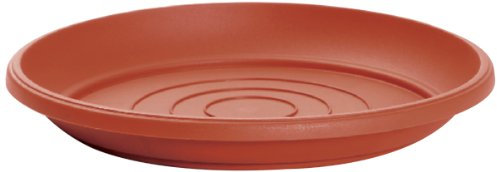 Terra Soucoupe pour Pot de Fleurs Terra, Terre Cuite, 11 cm